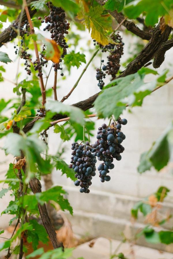 Masseria Torremossa Fasano Zewnętrze zdjęcie