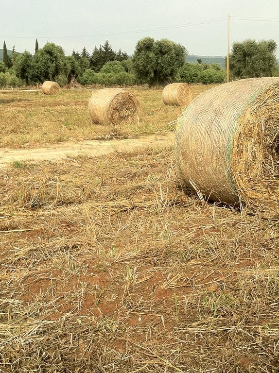 Masseria Torremossa Fasano Zewnętrze zdjęcie