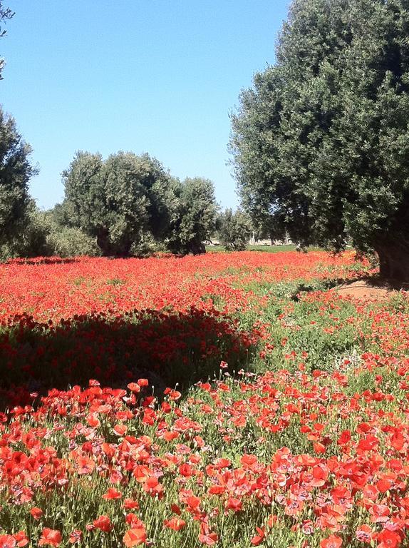 Masseria Torremossa Fasano Zewnętrze zdjęcie